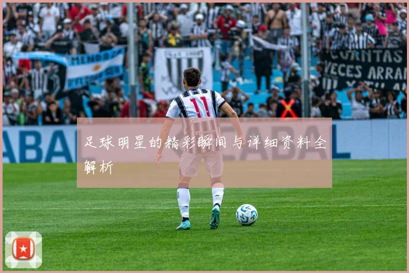 足球明星的精彩瞬间与详细资料全解析