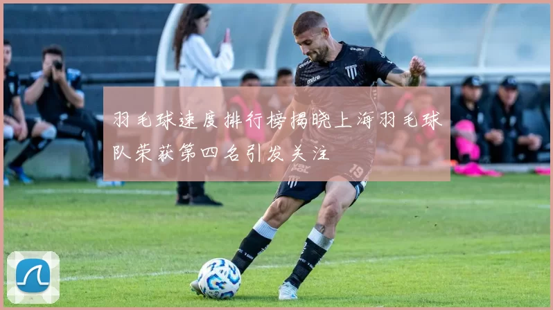 羽毛球速度排行榜揭晓上海羽毛球队荣获第四名引发关注