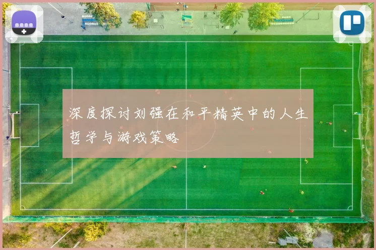 深度探讨刘强在和平精英中的人生哲学与游戏策略