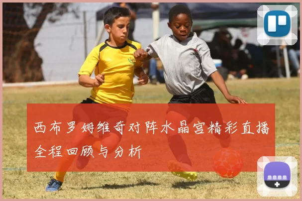 西布罗姆维奇对阵水晶宫精彩直播全程回顾与分析
