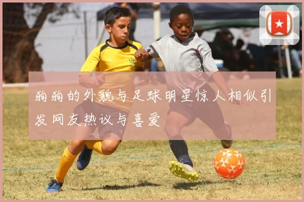狗狗的外貌与足球明星惊人相似引发网友热议与喜爱