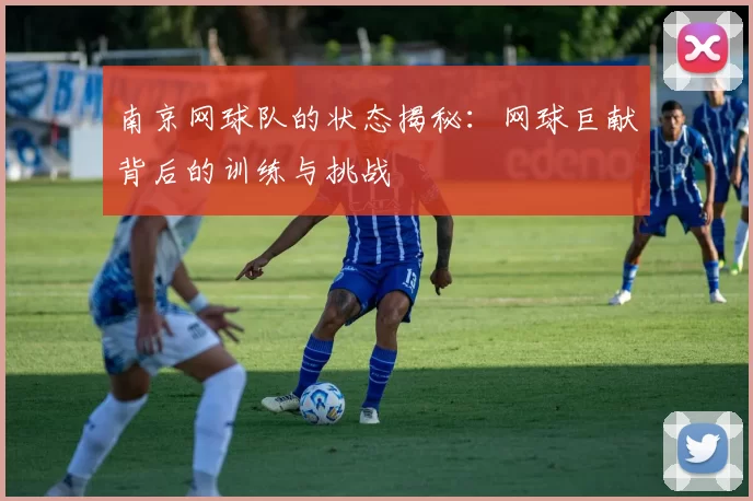 南京网球队的状态揭秘：网球巨献背后的训练与挑战