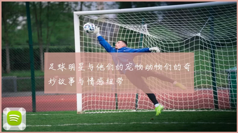 足球明星与他们的宠物动物们的奇妙故事与情感纽带