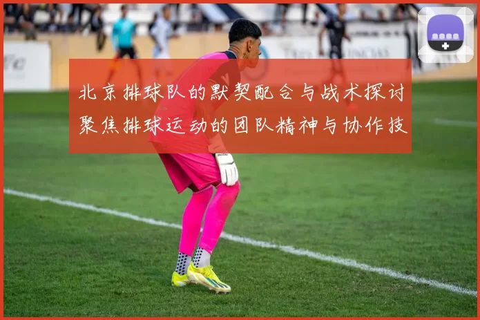 北京排球队的默契配合与战术探讨聚焦排球运动的团队精神与协作技巧