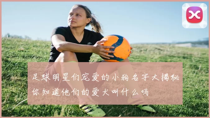 足球明星们宠爱的小狗名字大揭秘你知道他们的爱犬叫什么吗