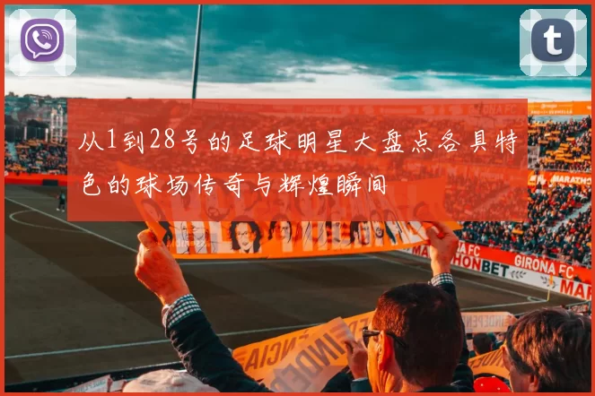 从1到28号的足球明星大盘点各具特色的球场传奇与辉煌瞬间