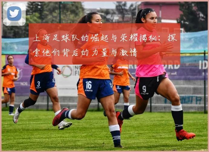 上海足球队的崛起与荣耀揭秘：探索他们背后的力量与激情