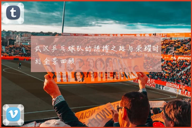 武汉乒乓球队的拼搏之路与荣耀时刻全景回顾