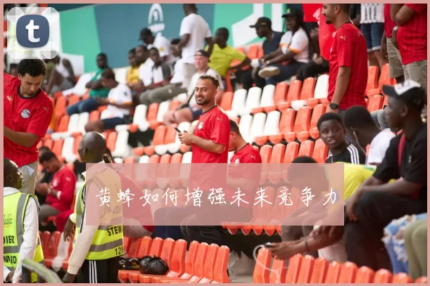 黄蜂如何增强未来竞争力