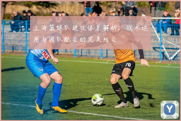 上海篮球队进攻体系解析：战术运用与团队配合的完美结合