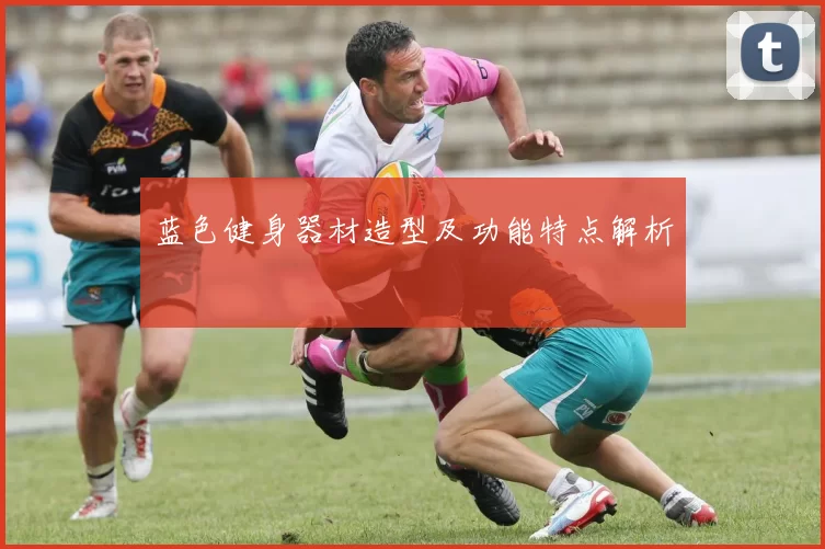 蓝色健身器材造型及功能特点解析