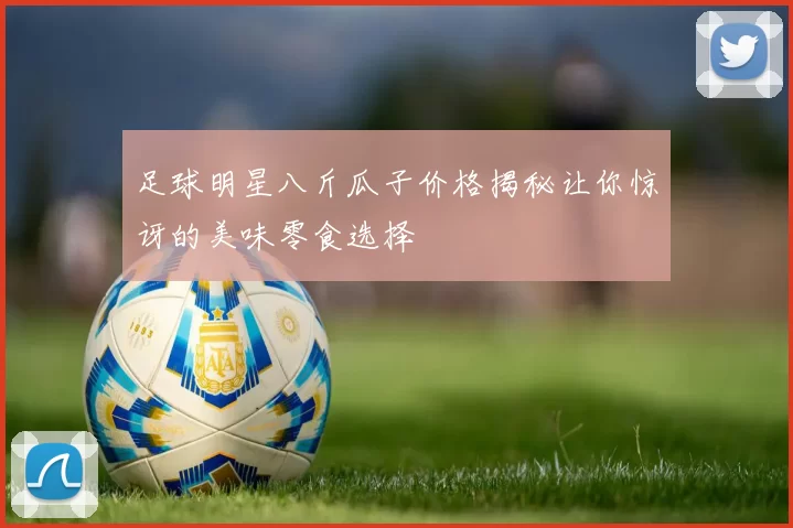 足球明星八斤瓜子价格揭秘让你惊讶的美味零食选择