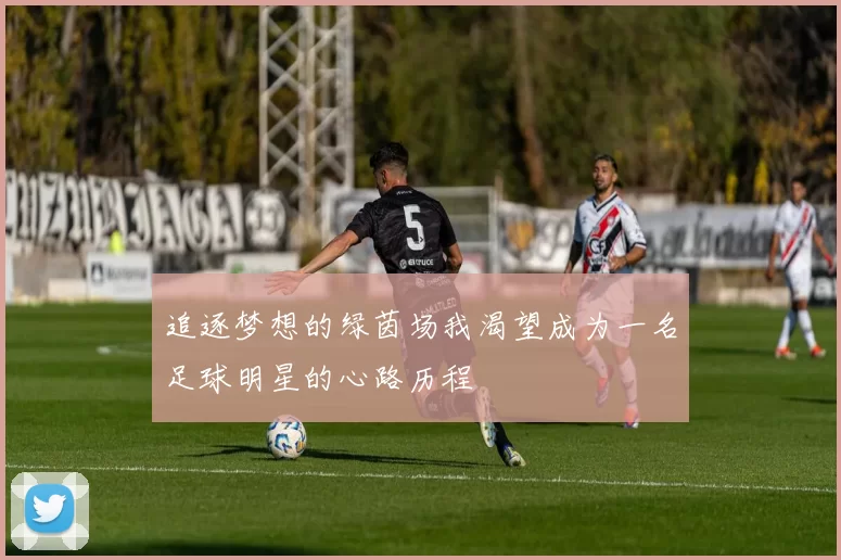 追逐梦想的绿茵场我渴望成为一名足球明星的心路历程