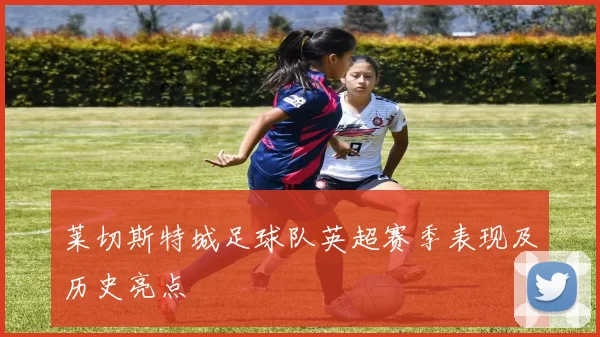 莱切斯特城足球队英超赛季表现及历史亮点