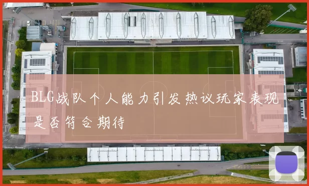 BLG战队个人能力引发热议玩家表现是否符合期待