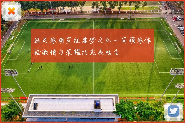 选足球明星组建梦之队一同踢球体验激情与荣耀的完美结合