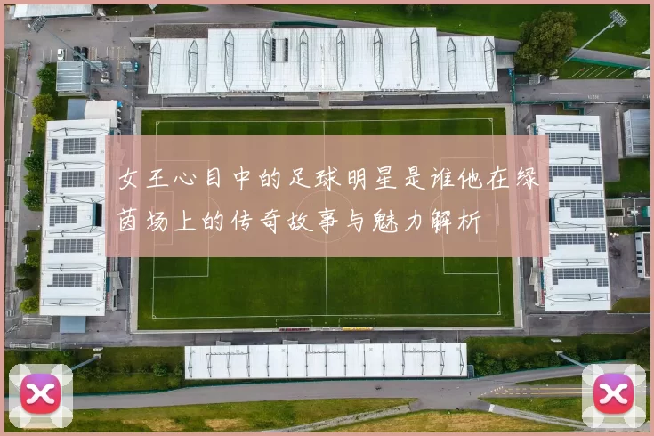 女王心目中的足球明星是谁他在绿茵场上的传奇故事与魅力解析