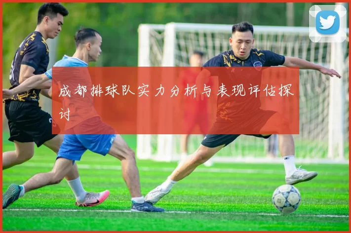 成都排球队实力分析与表现评估探讨